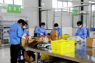 電商筑夢(mèng)，振興鄉(xiāng)村 徽縣電子商務(wù)平臺(tái)開(kāi)發(fā)運(yùn)營(yíng)助力脫貧攻堅(jiān)