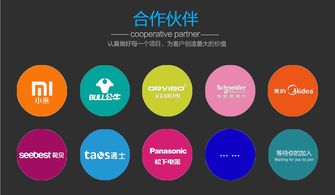 迅速開(kāi)發(fā)與運(yùn)營(yíng) 智能電器產(chǎn)品的電子商務(wù)平臺(tái)模式探析